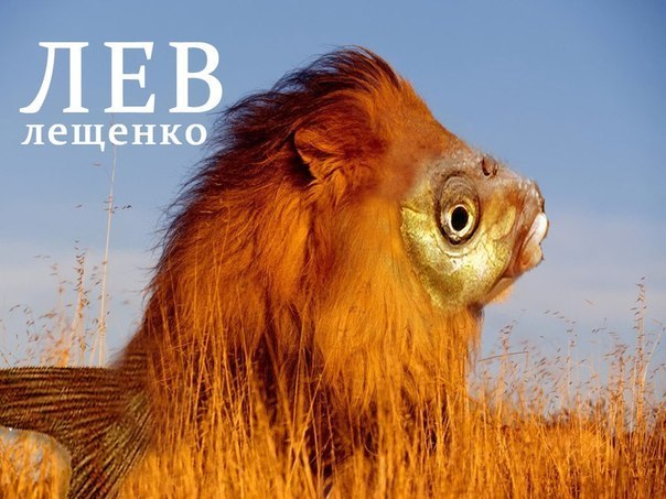 улыбнуло