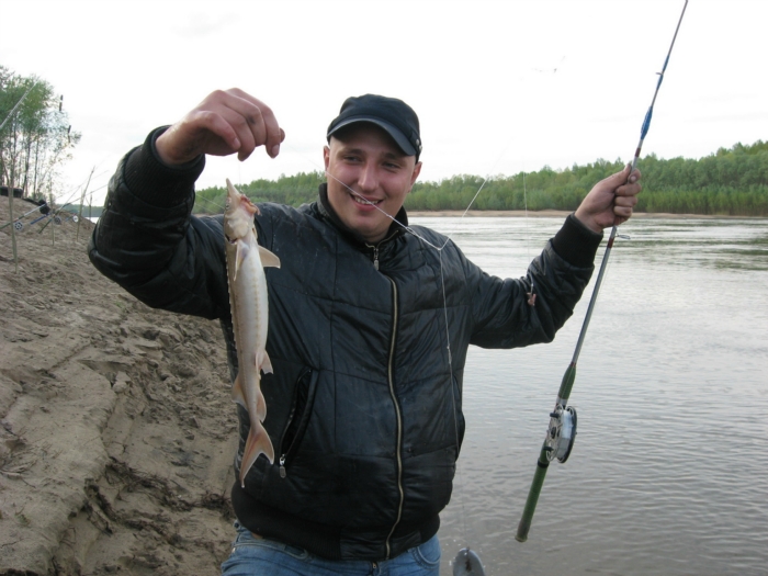Еще один неожиданный прилов к налиму. 2011