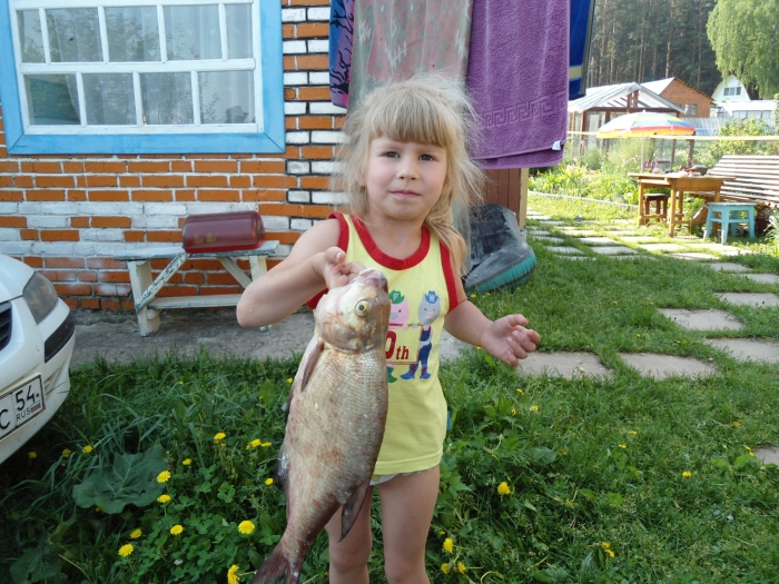 Вот какая рыба...