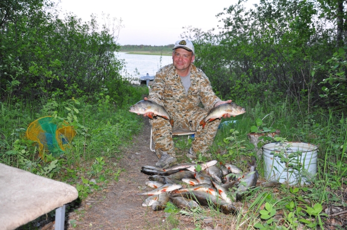 "люби и саночки возить"-в действии, чистка перед копчением..