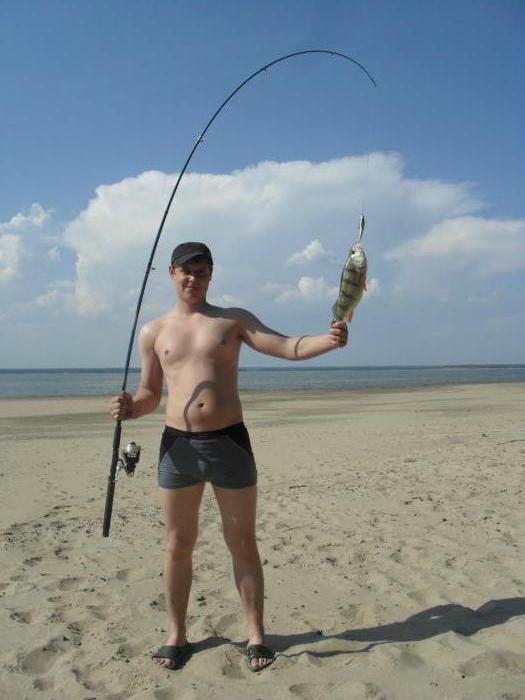 Окунёк!!)