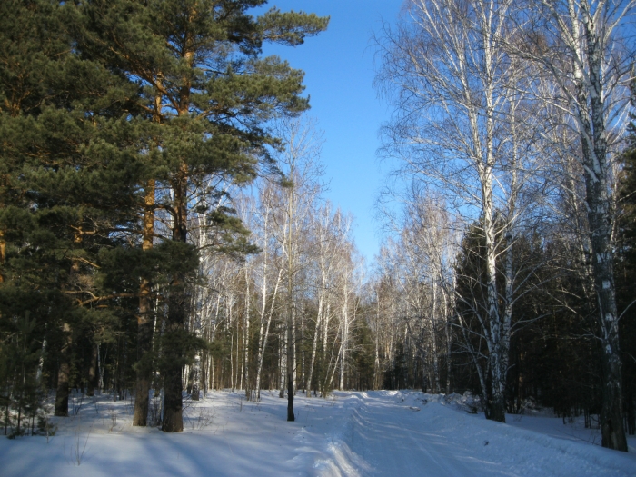 Дорога на Умревинский острог.