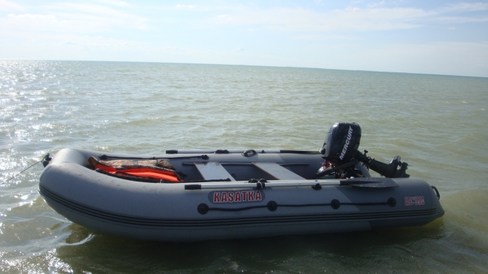 Касатка на море