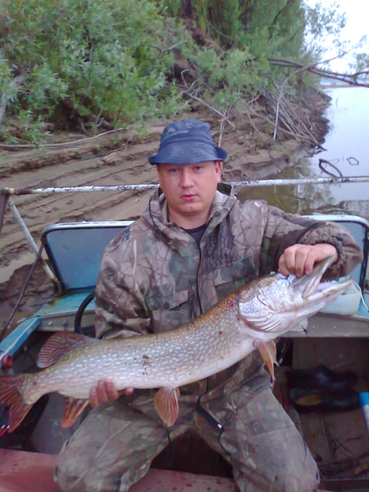 Лето 2012