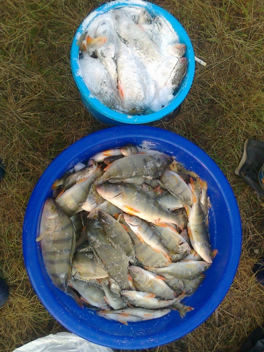 чаны