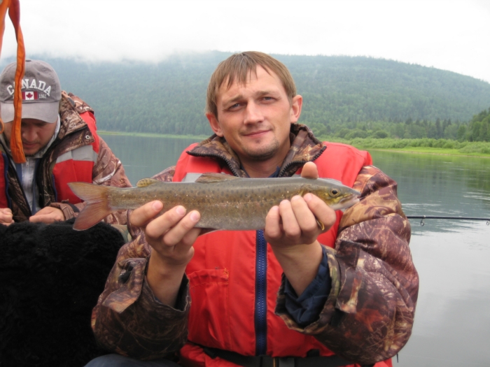 Ленский Ленок.