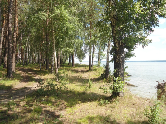 Дорога к реке.