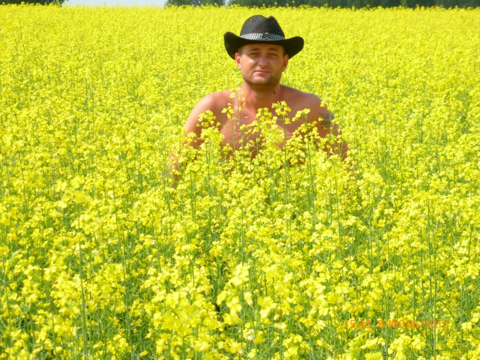 красота