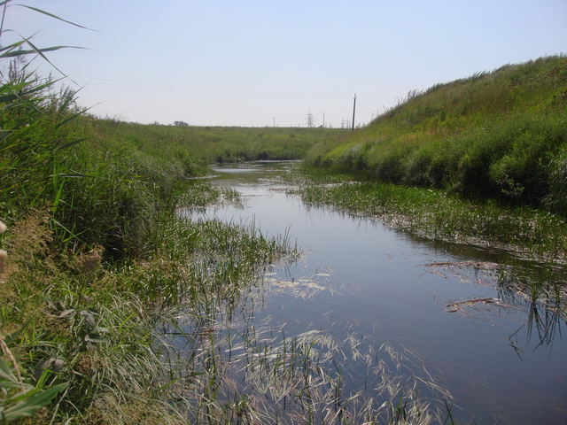 Условия ловли.