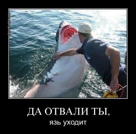 Мужчина!!!