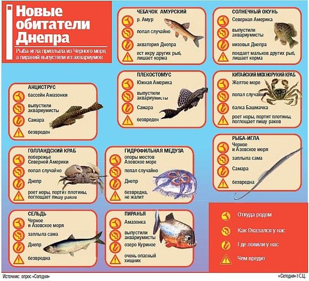 однако...