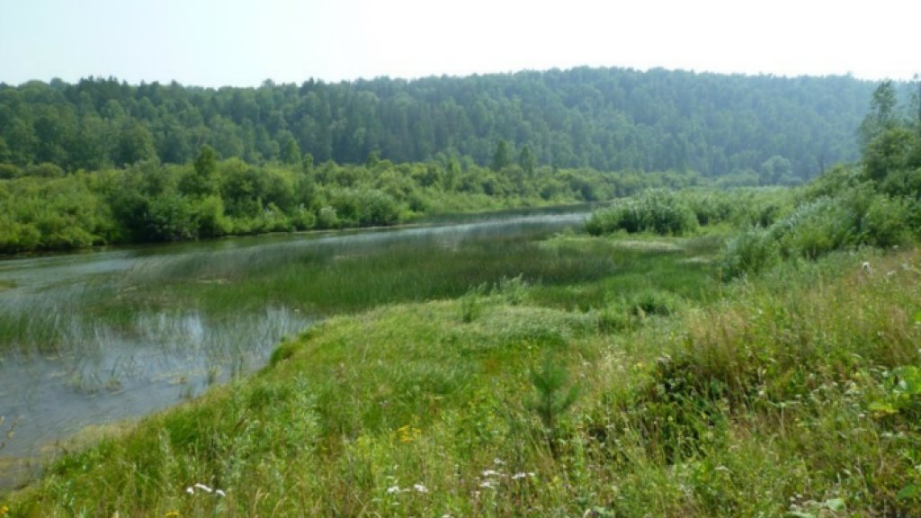 На Салаирский кряж за хариусом