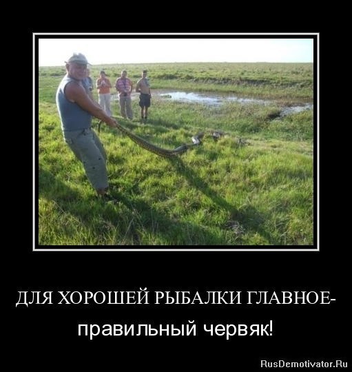 Червяк))