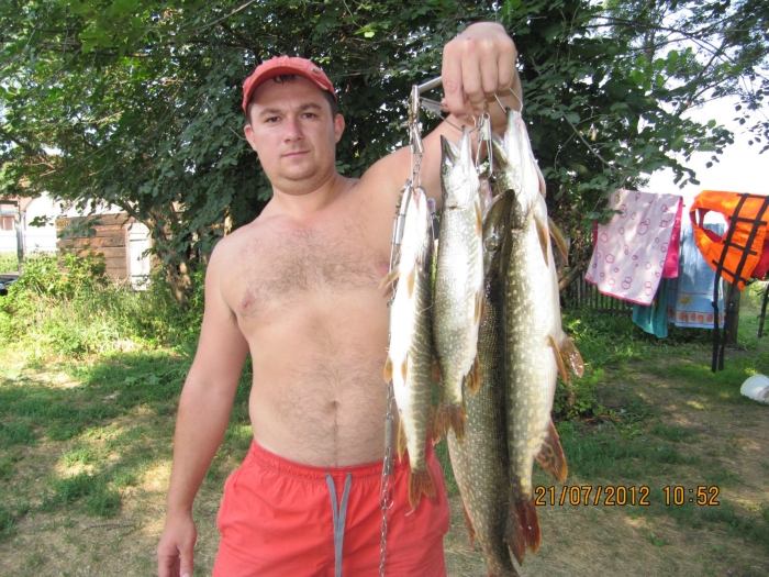 воскресное утро на даче