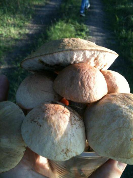 по пути с Гаража)