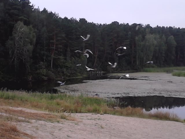 р.Орда 1