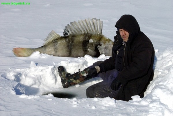 вот каких надо акавалкаф ловить =)
