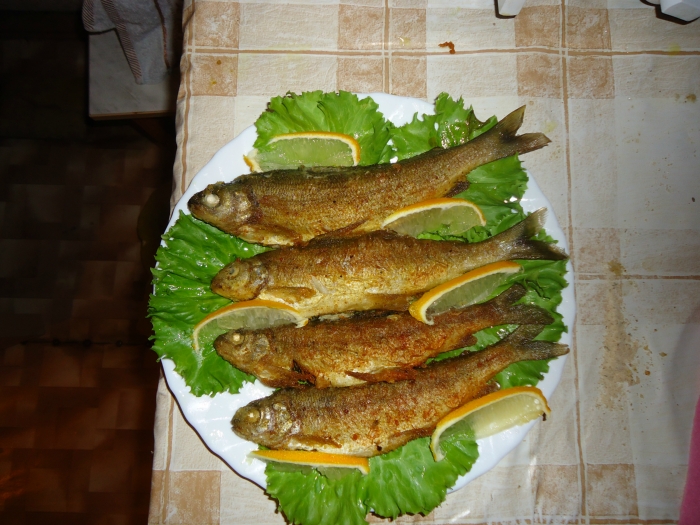 хариус сковородник
