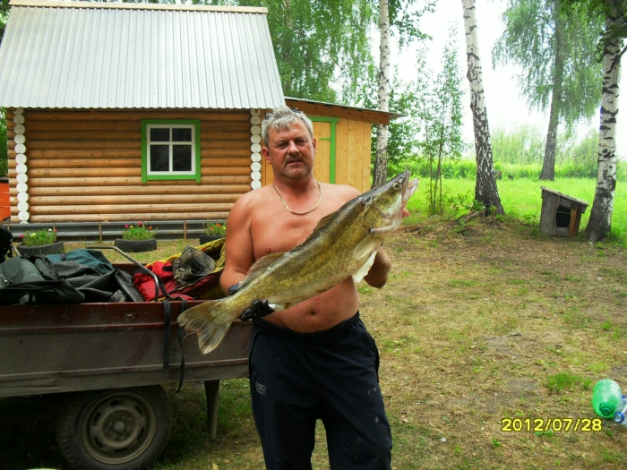 судачек