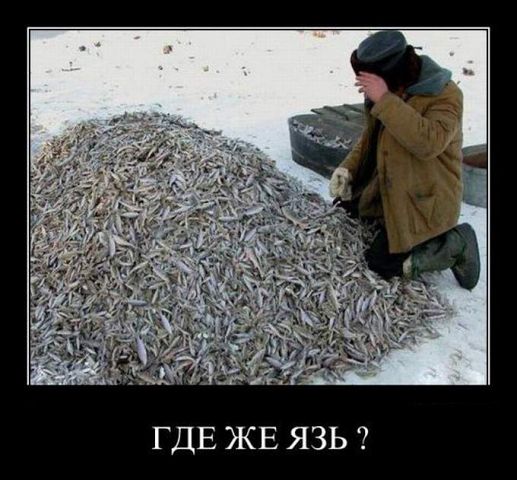 ОВХ