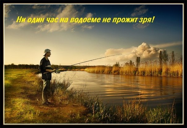 Полностью согласен!