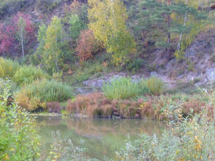 Осень