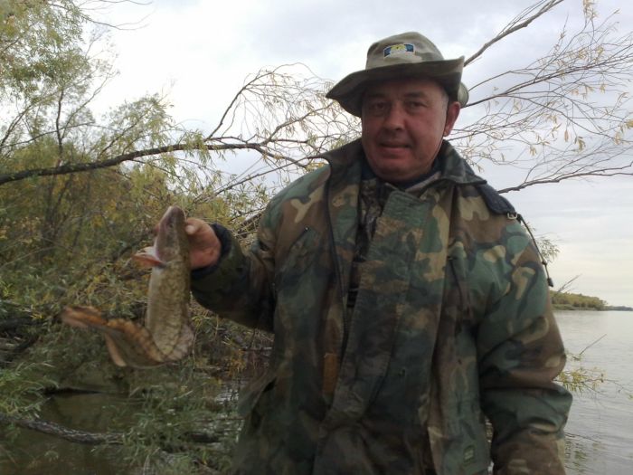 на каряжнике...