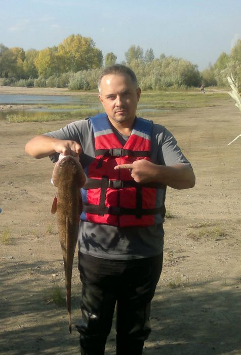 Налим Обской