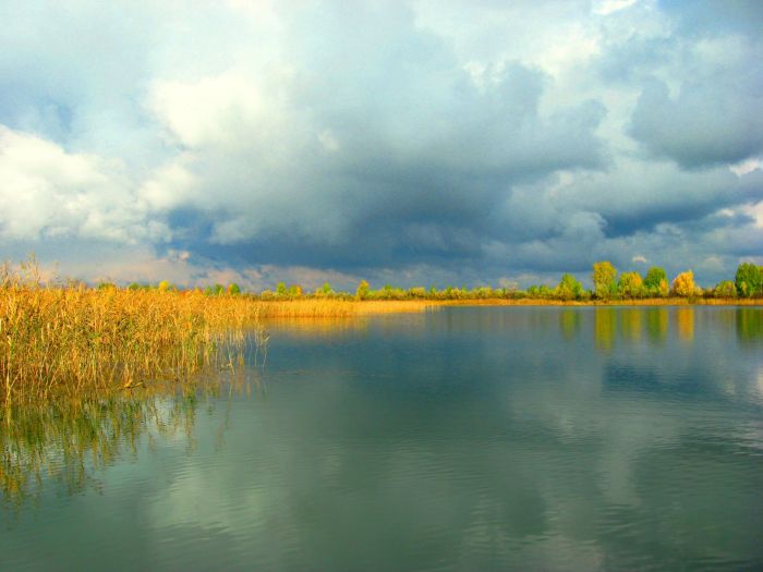 22.09.2012. Криводановские озёра.