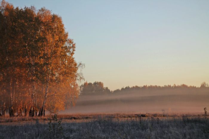 Белая пелена