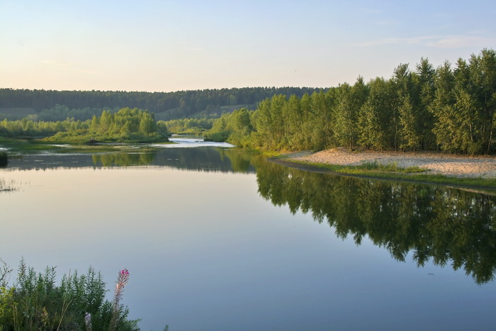 На Берди