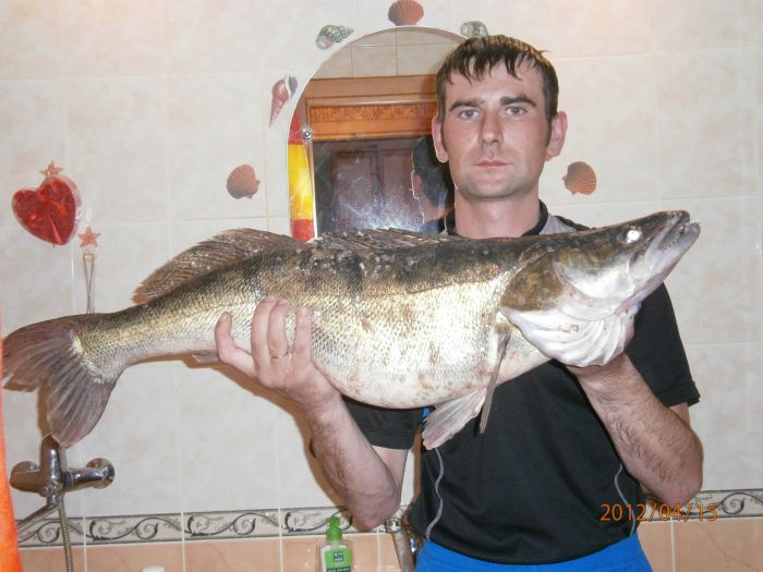 весна