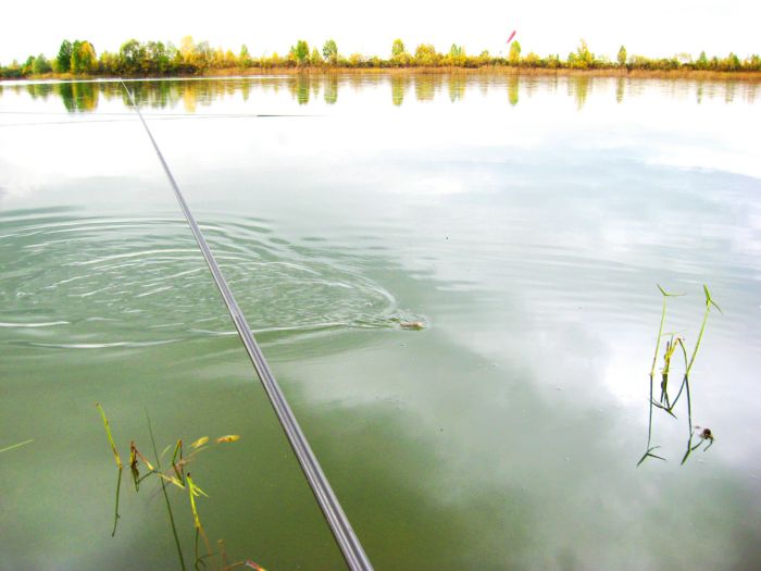 22.09.2012. Криводановские озёра.