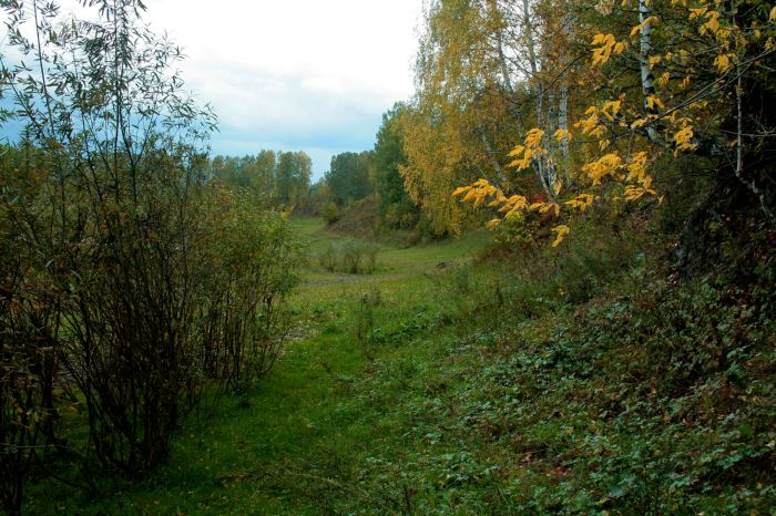 Чувствуется осень