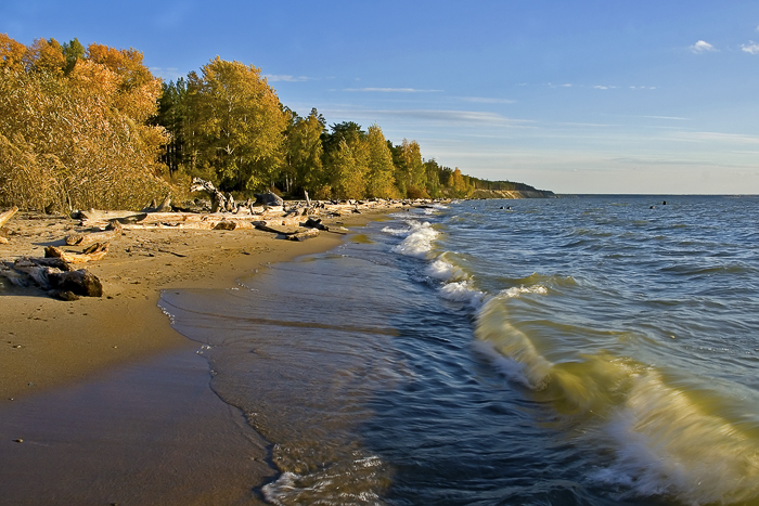 Волна.