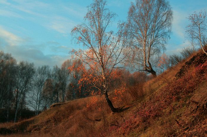 бумага, акварель