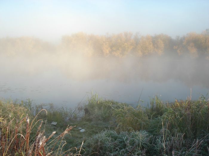 Морозное утро .