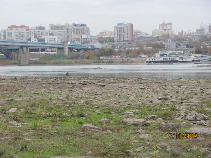Обь метромост