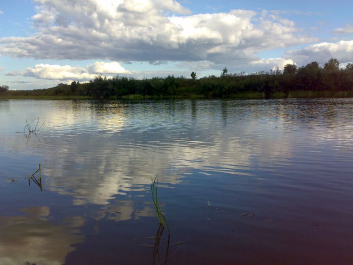 Гладь.