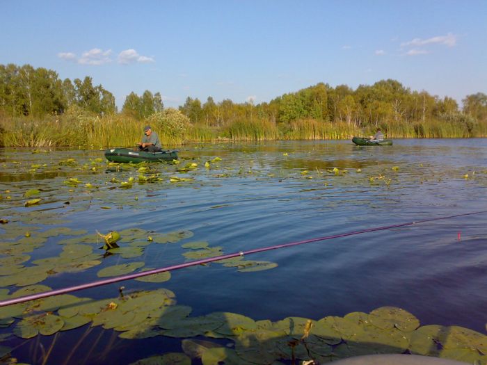 За карасём