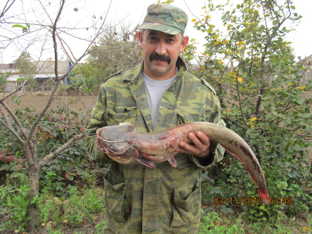 Продлеваю сезон открытой воды.