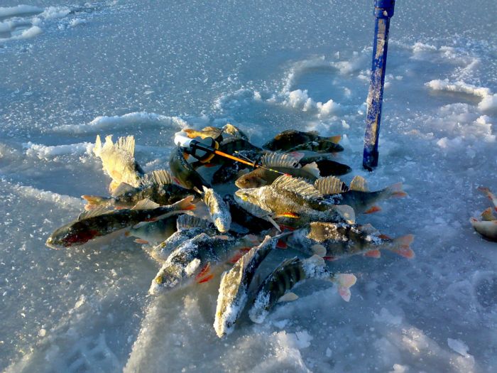 Сезон 2012,открыт.