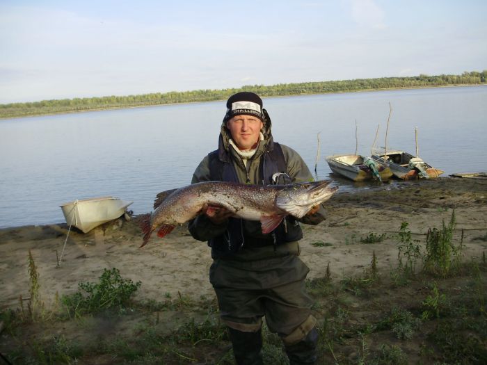 Без коментариев
