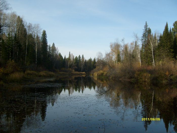 река бокса