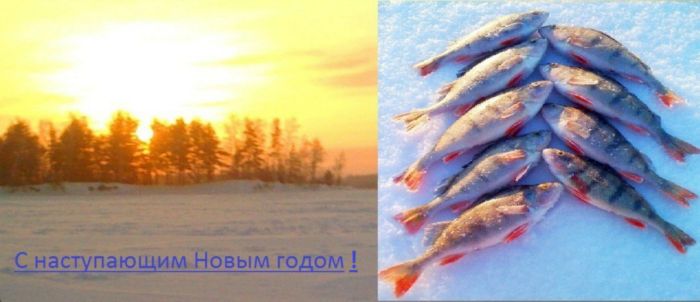 Всех с наступающим новым годом!