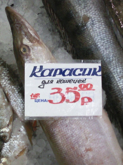 Сегодня на рынке