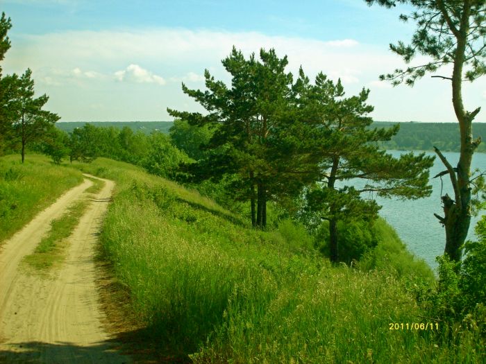 бердская коса