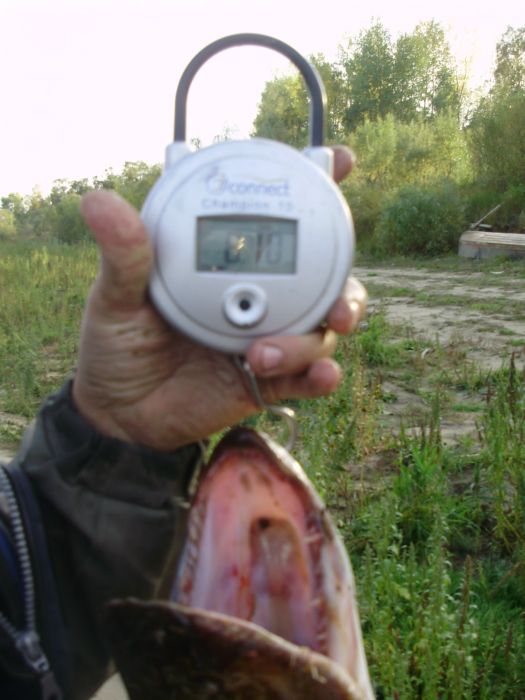 Без коментариев