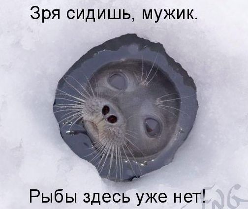 лунка с глазами))))