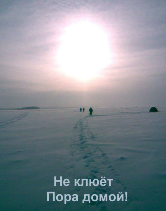 Пора домой!